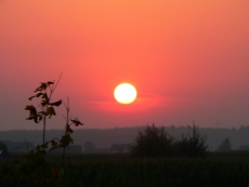 Zakrzówek 05.09.2014